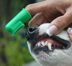 指套型牙刷